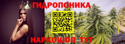 мдпв Вязники